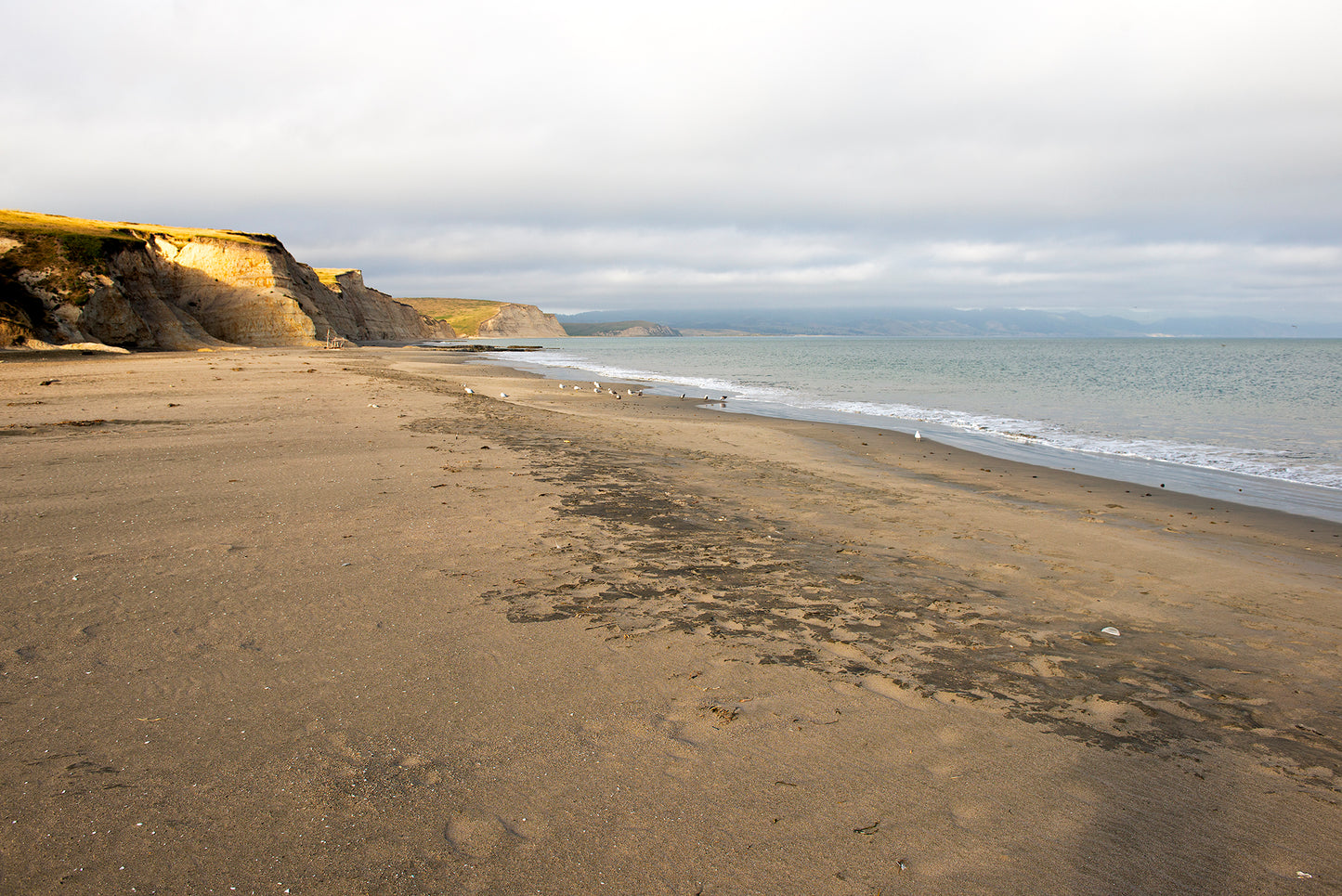 Point Reyes & West Marin County in Late Spring