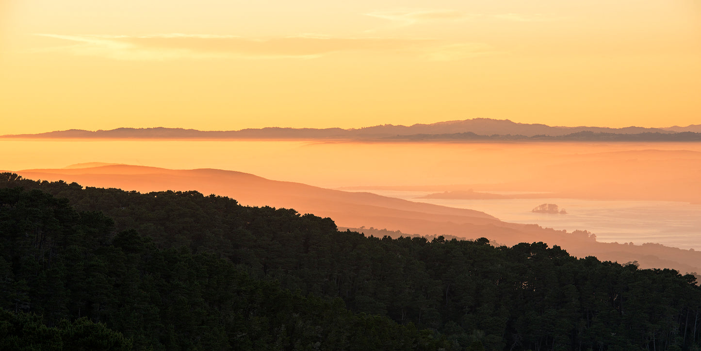 Point Reyes & West Marin County in Late Spring