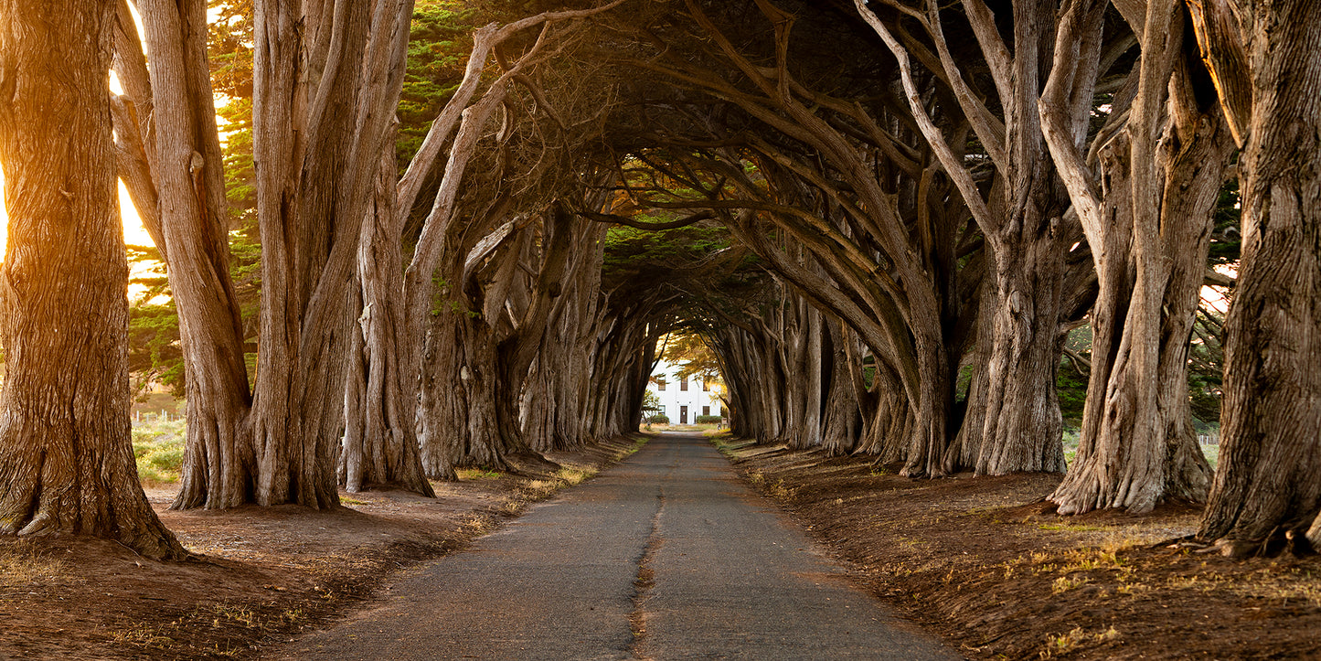Point Reyes & West Marin County in Late Spring