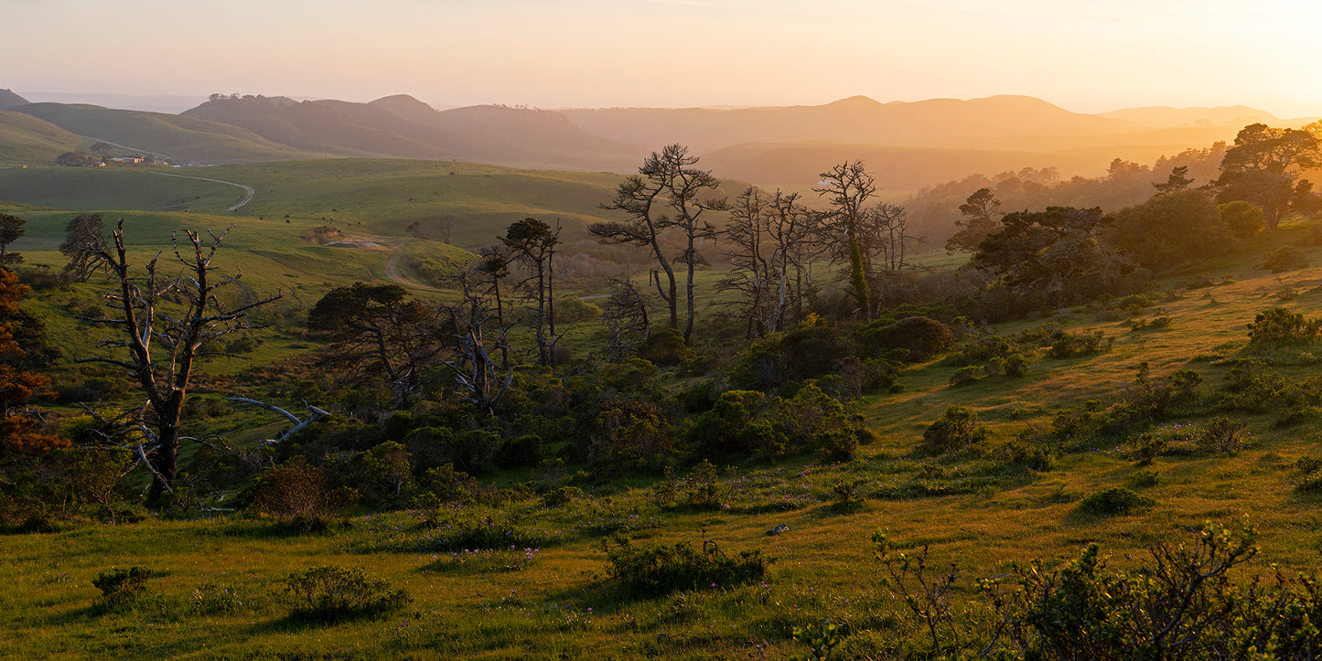 Point Reyes & West Marin County in Spring