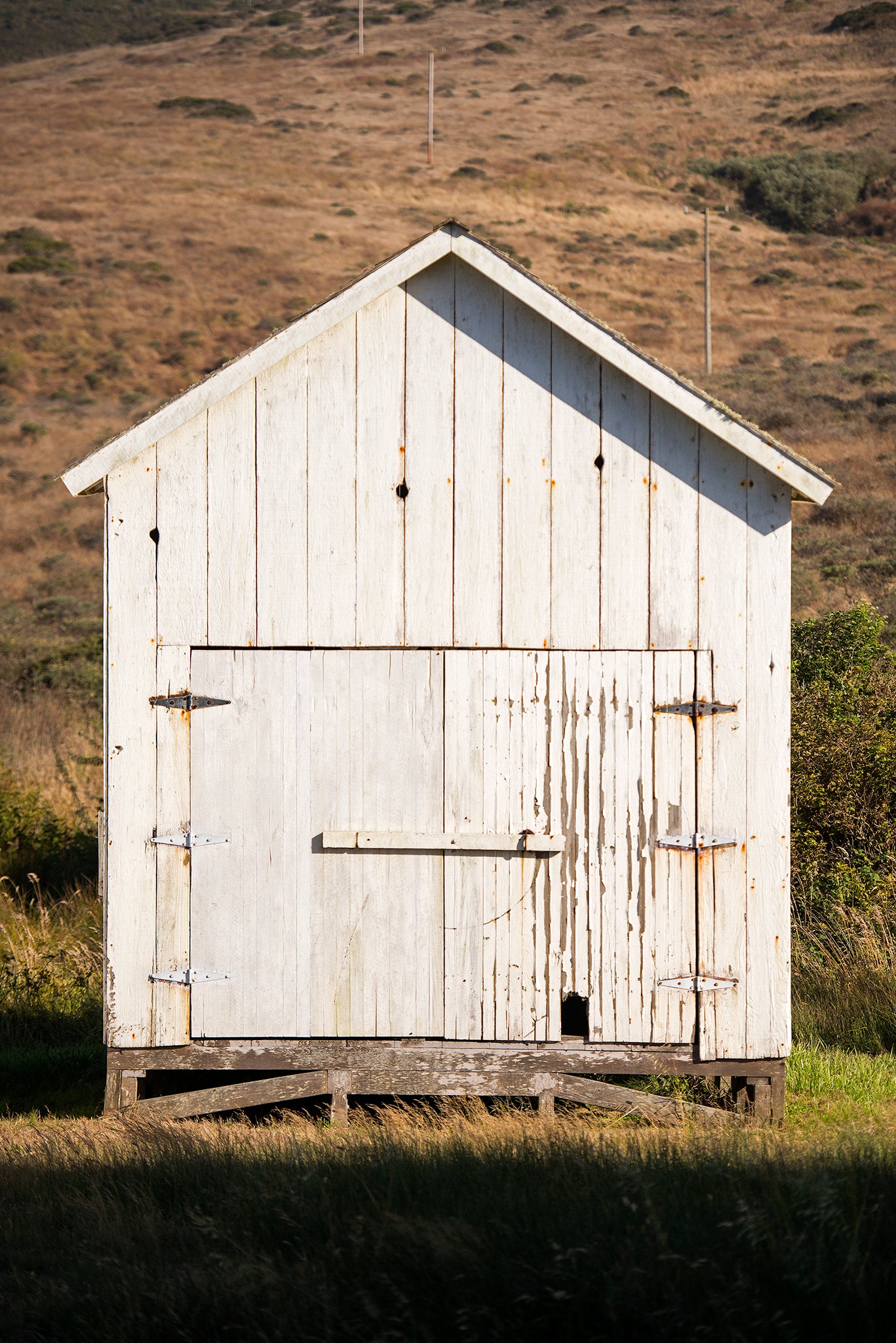 Point Reyes & West Marin County in Summer