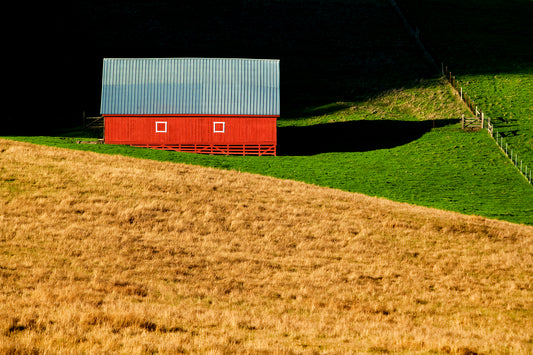 A vivid red barn with a metal roof sits at the edge of sunlight and shadow, surrounded by vibrant green grass and golden hills near Tomales, captured on a winter afternoon after weeks of rain.