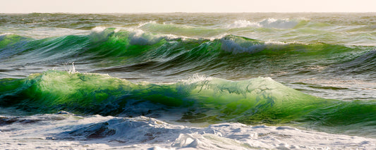 Backlit emerald waves crest and roll in the late afternoon light at North Beach in Point Reyes, captured on a summer day to reveal the sea’s true green hues.