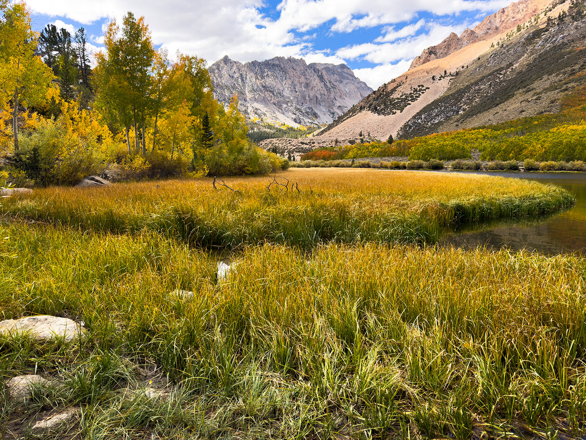 Yosemite and Eastern Sierra in Autumn - 5 Days
