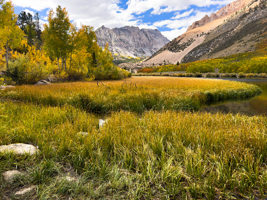 Yosemite and Eastern Sierra in Autumn - 5 Days