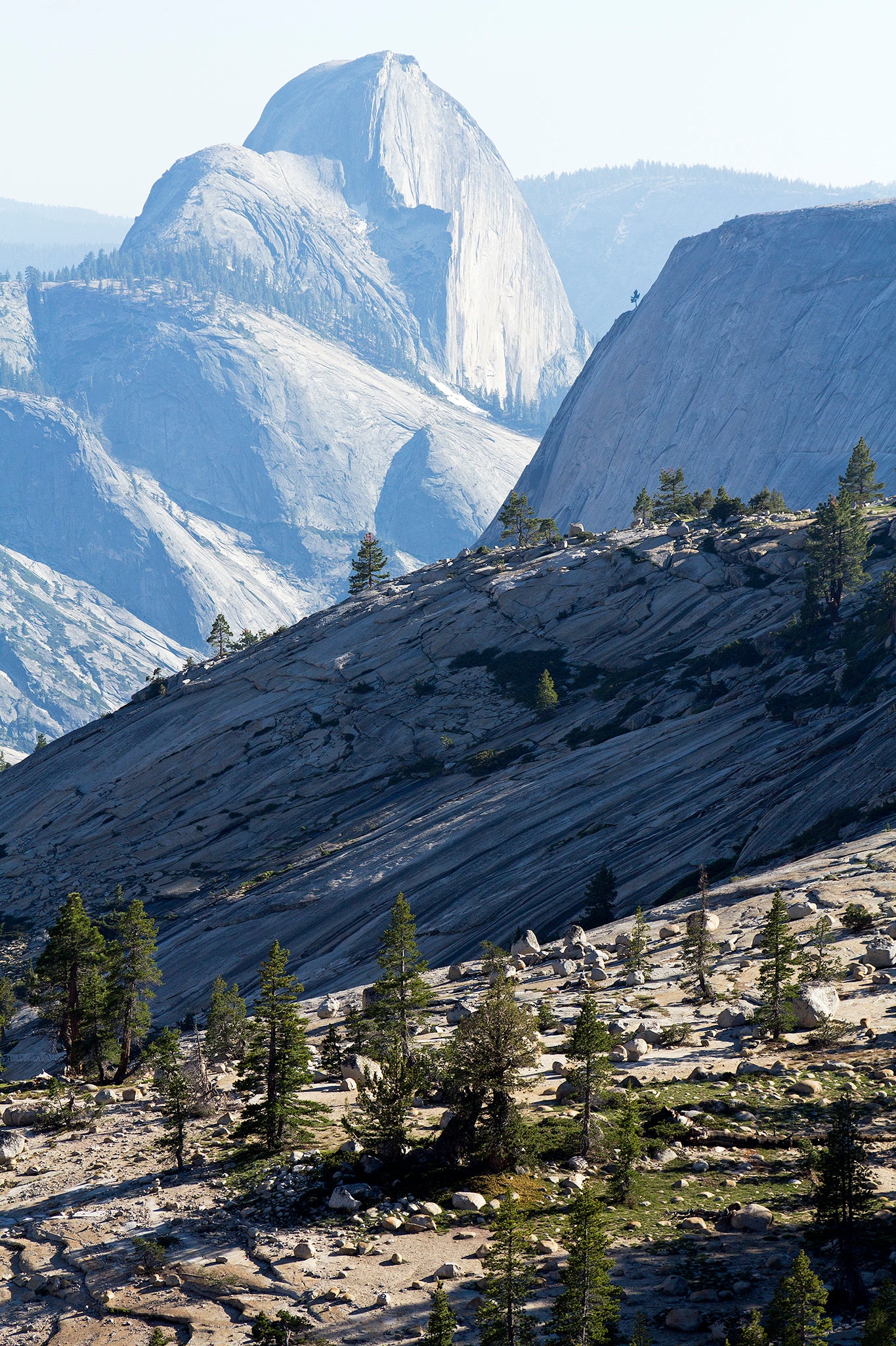 Yosemite and Eastern Sierra in Summer - 5 Days