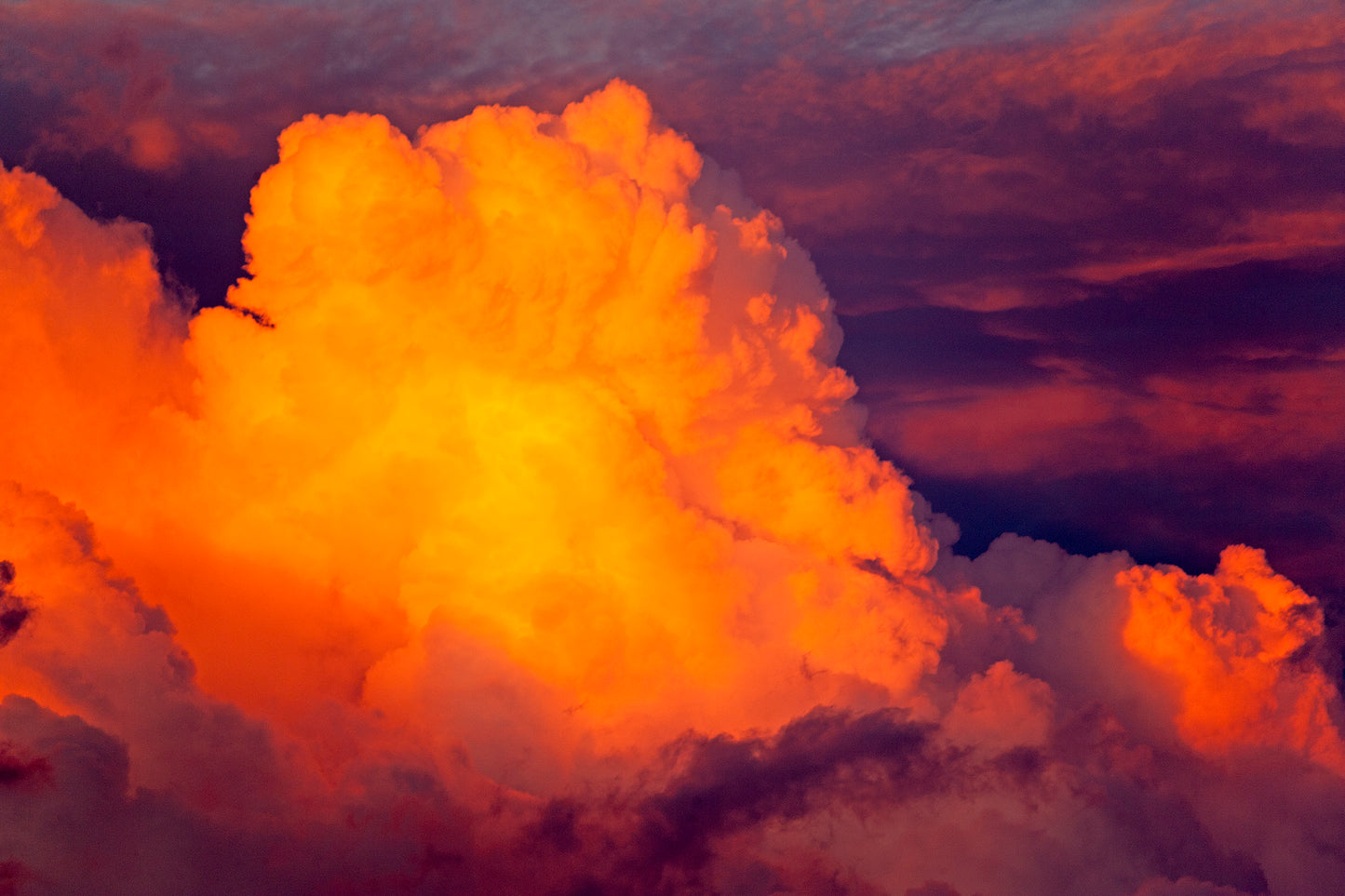 Yosemite and Eastern Sierra in Summer - 5 Days