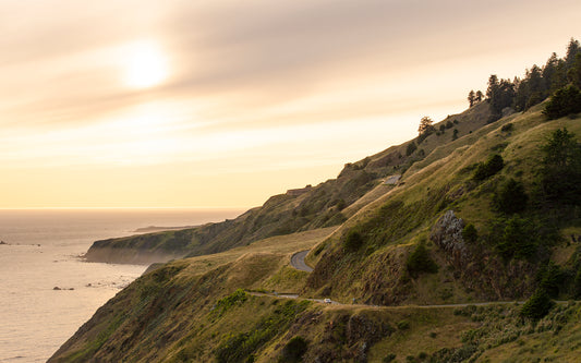 Sonoma Coast in Summer