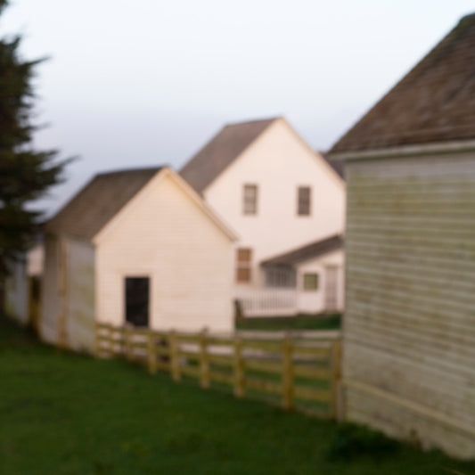 Intentionally blurred image of whitewashed barns and buildings at Pierce Point Ranch, with soft shapes and muted tones evoking a dreamlike memory of the past; winner of first place at the Marin County Fair photo competition.