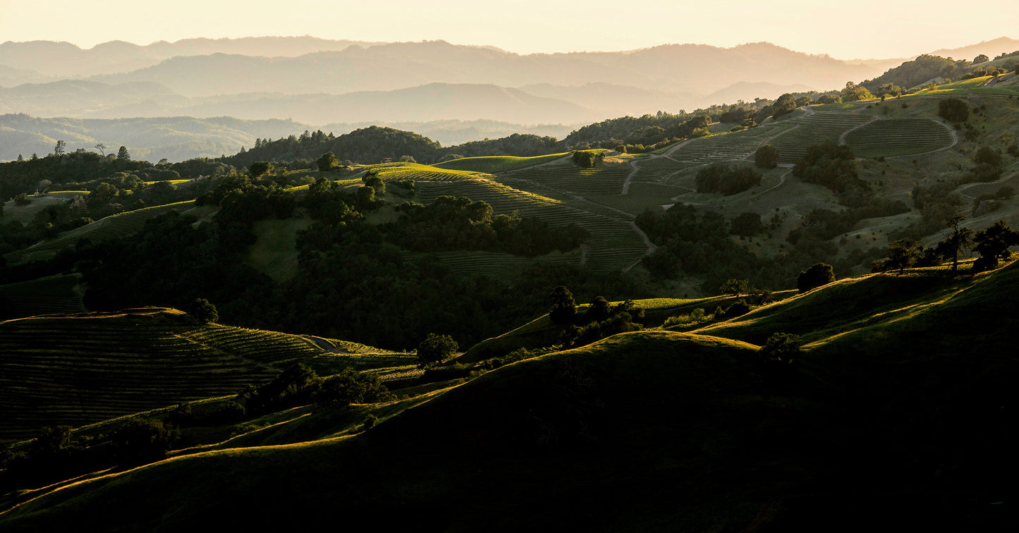Wine Country in Late Spring