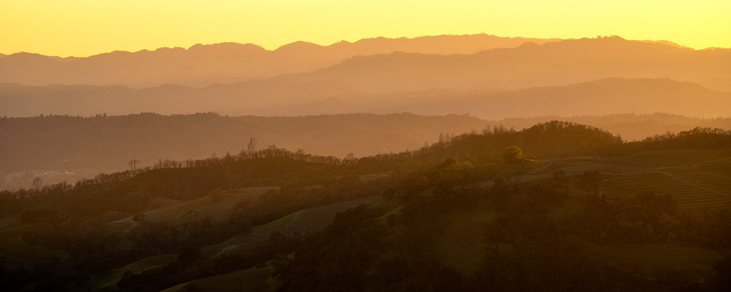 Wine Country in Spring