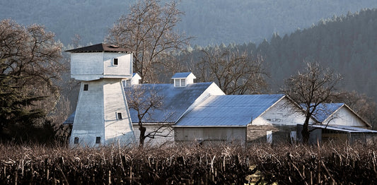 A white wooden barn and tall tower stand amid dormant vineyard rows on a crisp winter afternoon in Napa Valley, framed by bare trees and shadowed forested hills.