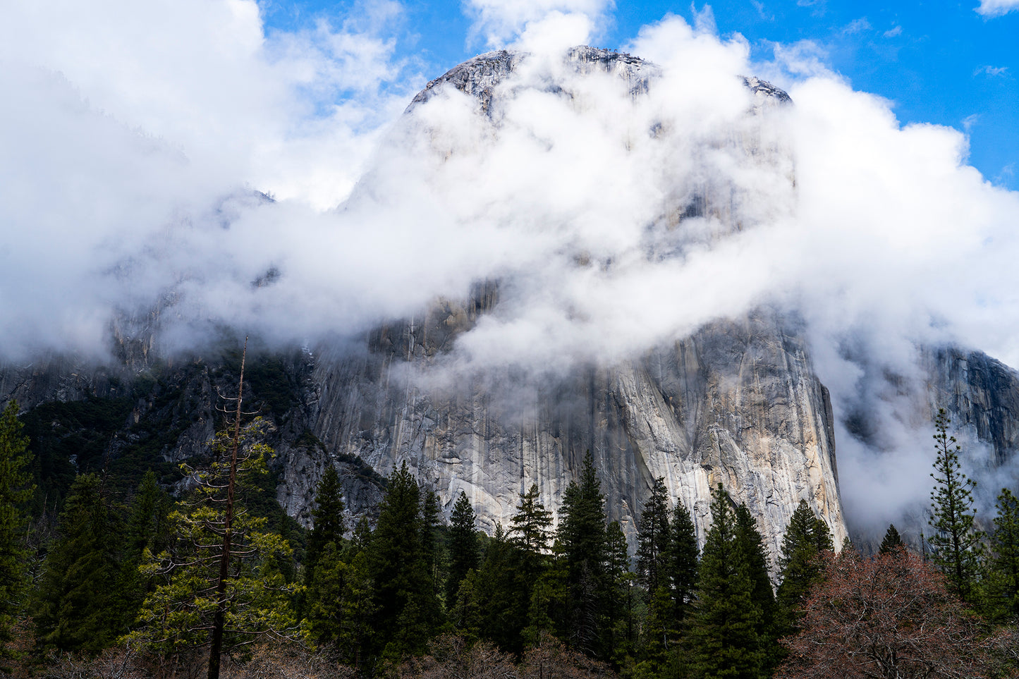 Yosemite in Spring - Peak Flow Waterfalls