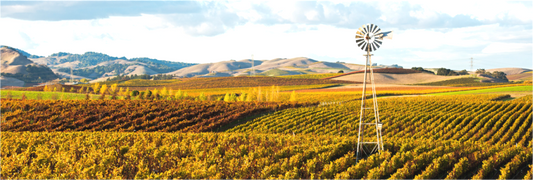 Carneros Windmill (Collector Edition)