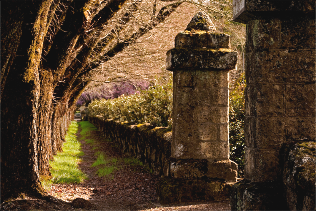 Ancient Path (Collector Edition)