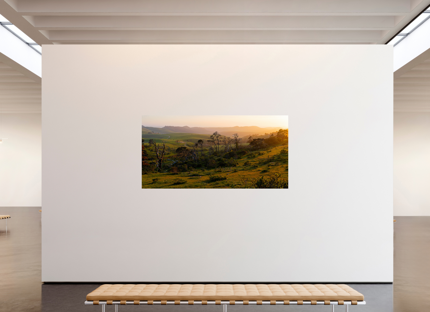 Pastoral Landscape (Collector Edition)