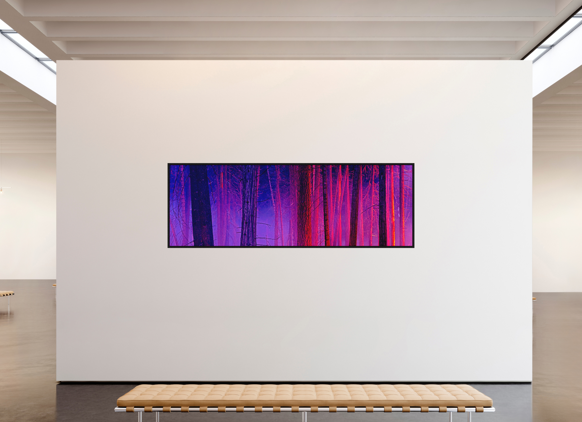 105 x 35″, Acrylic Face Mount with Black Float Frame The Color of Firelight (Collector's Edition)