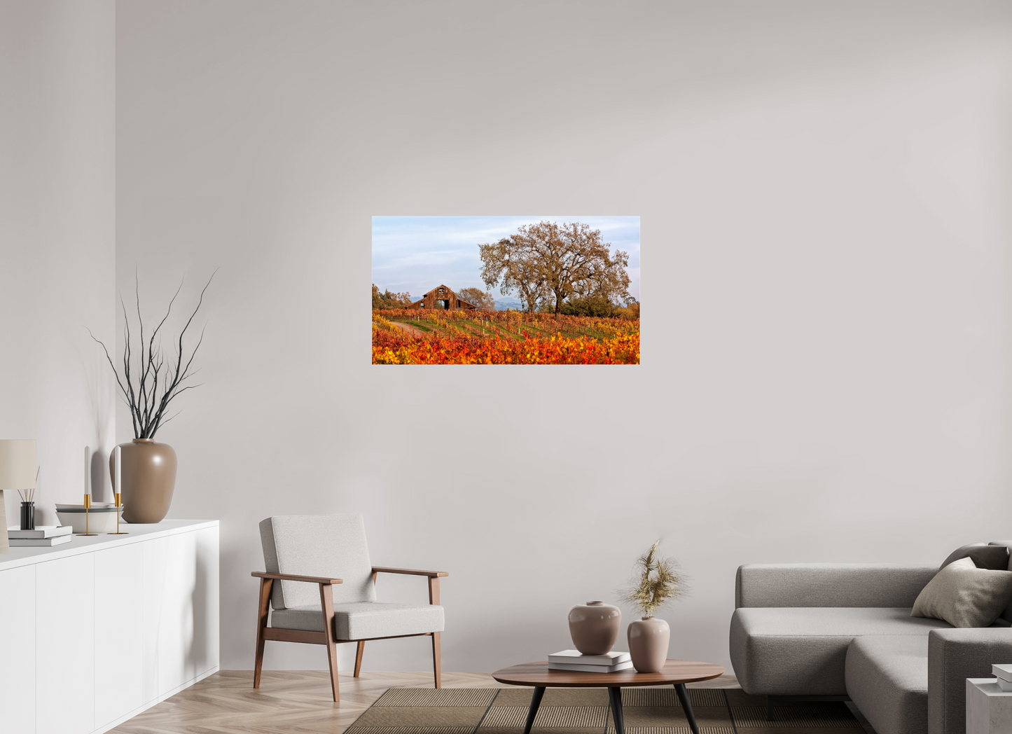 Barn and Vineyards (Collector Edition)