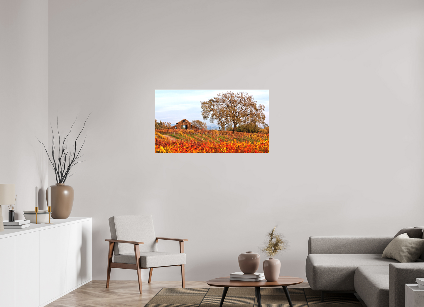 Barn and Vineyards (Collector Edition)