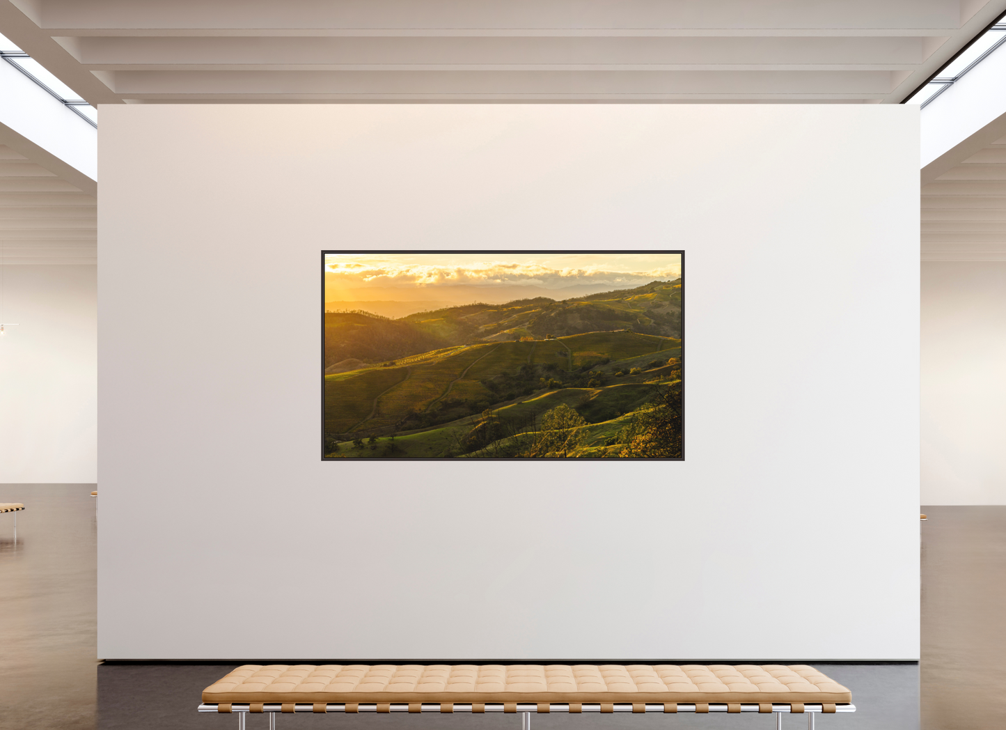 Autumn's Glow (Collector Edition)
