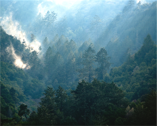 Inverness Ridge