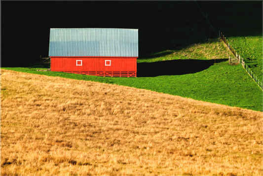 A vivid red barn with a metal roof sits at the edge of sunlight and shadow, surrounded by vibrant green grass and golden hills near Tomales, captured on a winter afternoon after weeks of rain.