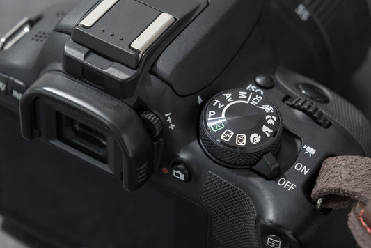 Digital Camera Basics - June
