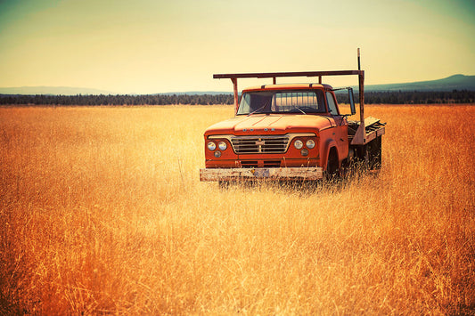 An old orange Dodge truck sits in a golden field of tall summer grass under a hazy sky in Eastern Oregon, with added texture and vignetting for a nostalgic feel.