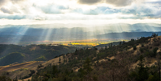 Sunbeams break through smoky clouds over Alexander Valley in fall, casting light on the landscape just weeks after the Tubbs Fire—a moody scene titled “Fire Season.”